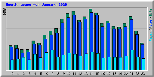 Hourly usage for January 2020