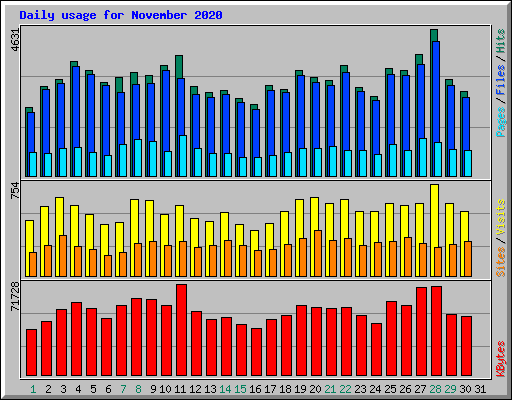 Daily usage for November 2020