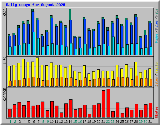 Daily usage for August 2020