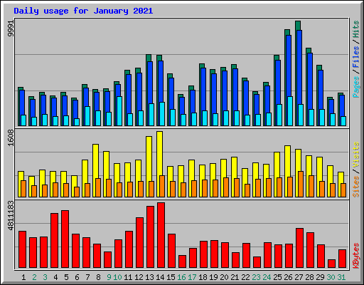 Daily usage for January 2021