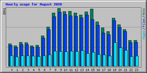 Hourly usage for August 2020