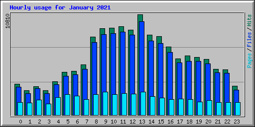 Hourly usage for January 2021